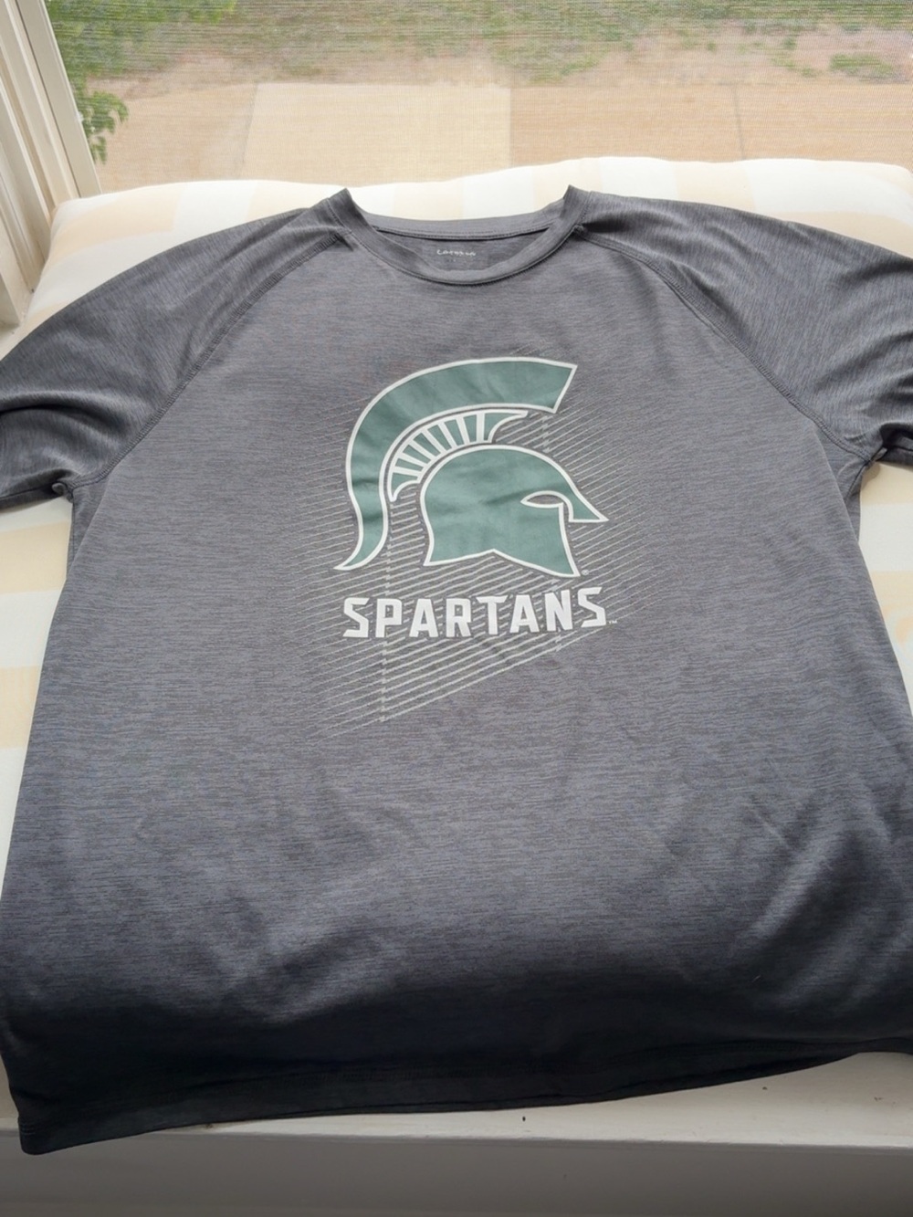 Spartans Gray Graphic Performance Tee